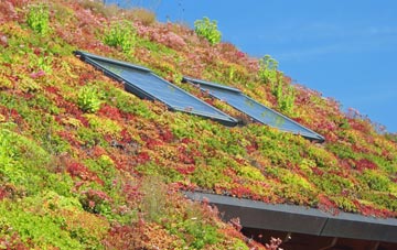 Staunton In The Vale living roof systems
